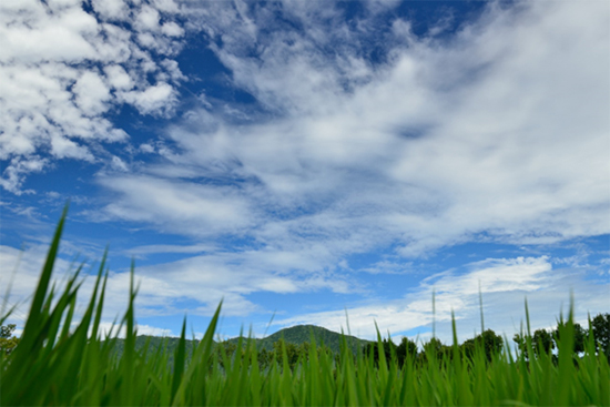 良寛が歩いた国上山周辺の風景 「 夏 」