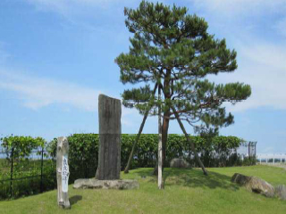 岩室の田中の松歌碑