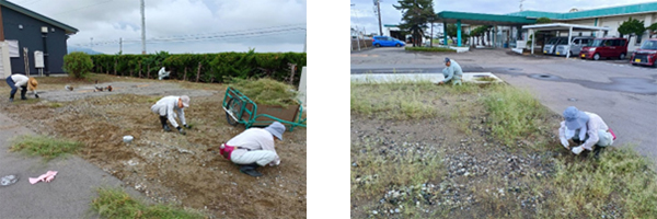 〇広い敷地もきれいになりました（9/12 みのり園）